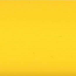 8018 AMARILLO BRILLO