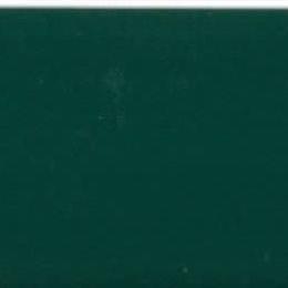 8498 VERDE
