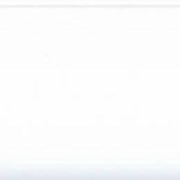 8900 BLANCO BRILLO